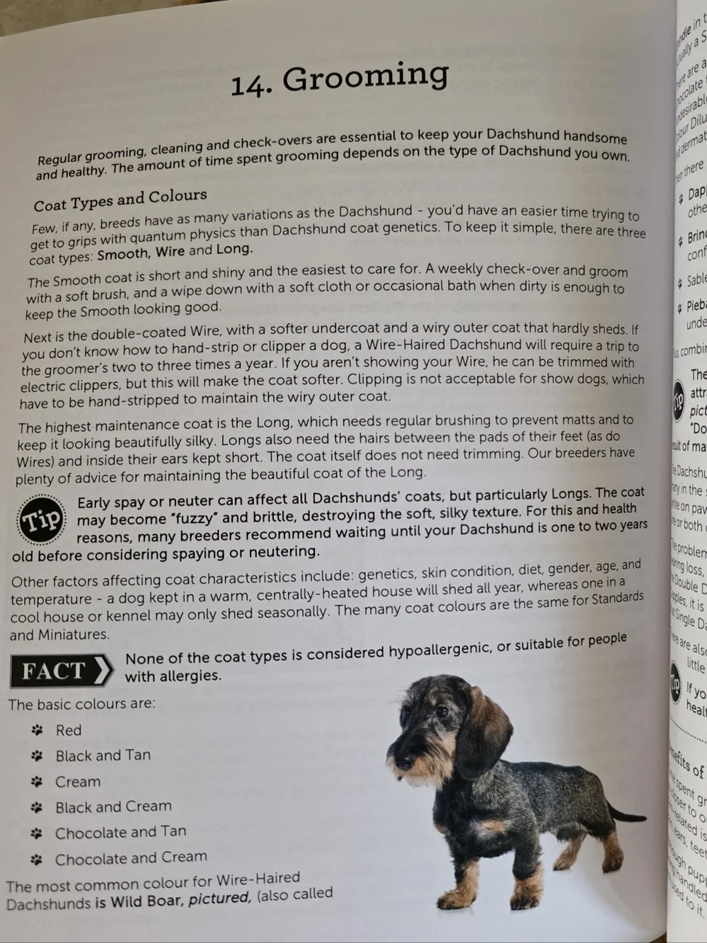 The Dachshund Handbook & Training Book